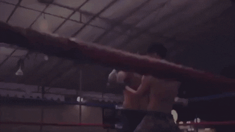 Rock Bottom GIF