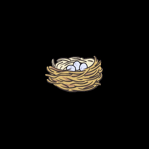Bird's nest animation