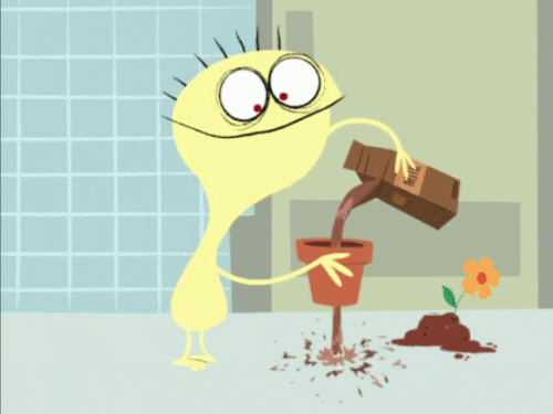 Cartoon Network Cheese Find And Share On Giphy