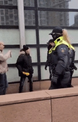 giphy-downsized-large.gif