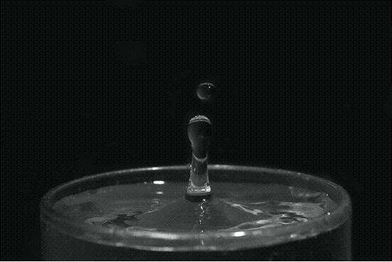 Water Drop GIF - Find & Share on GIPHY