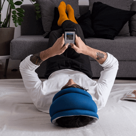 ostrichpillow GIF