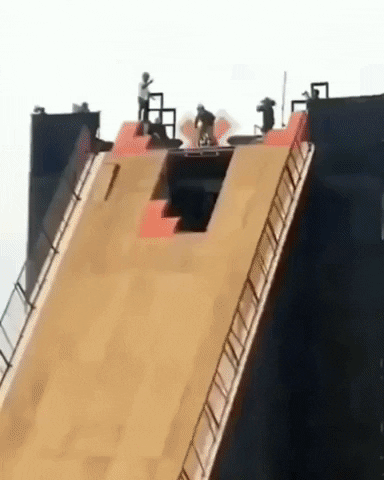 giphy.gif