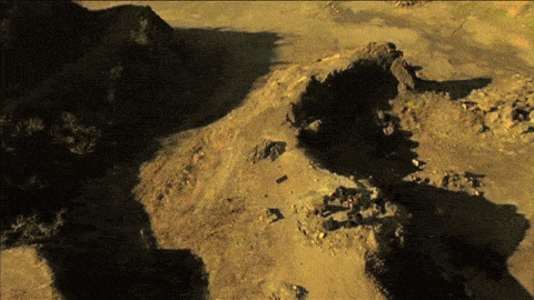 Homo Sapiens, Evolución Humana, Fósiles, África, UNAM, Hombre
