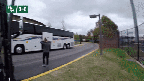 William & Mary Tribe Athletics GIF