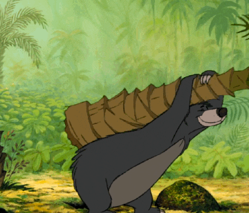 A bear using a palm tree to scratch his back