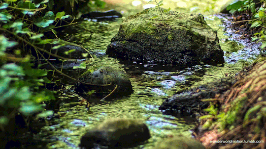 Babbling brook