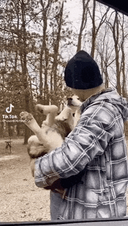Everyone gets a hug and kiss in dog gifs