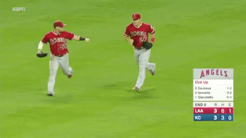 giphy.gif