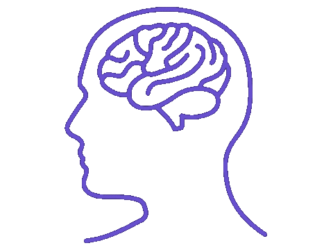 Gif cerveau humain violet 