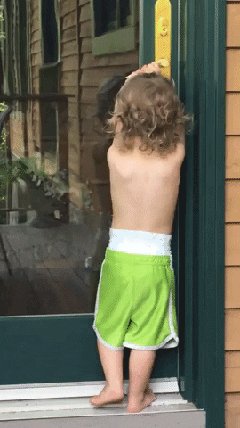 Let Me In Kid GIF by Real Food RN