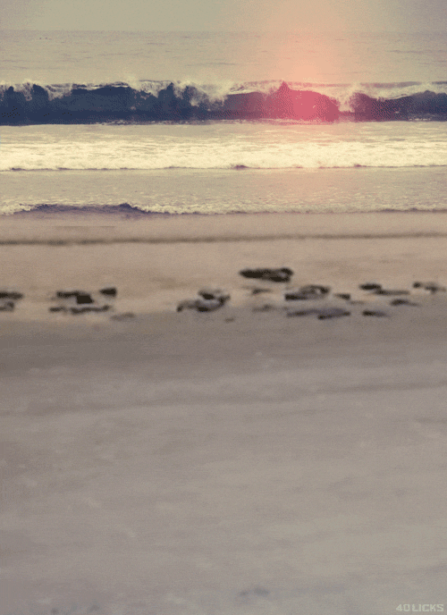 Water Ocean GIF Find & Share on GIPHY