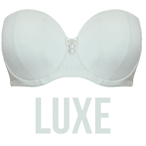 UPBRA REVIEW  Luxe Be A Lady