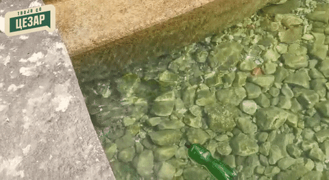 Environment Plasticfree GIF by Твоја партија