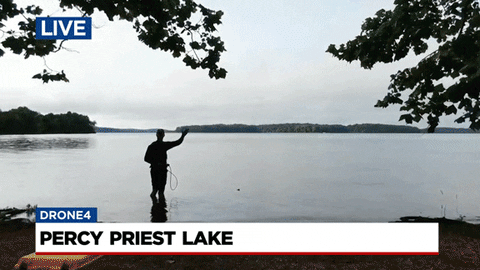 Percy Priest Lake GIF by WSMV News 4, Nashville