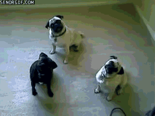 Vacation GIF - Find & Share on GIPHY