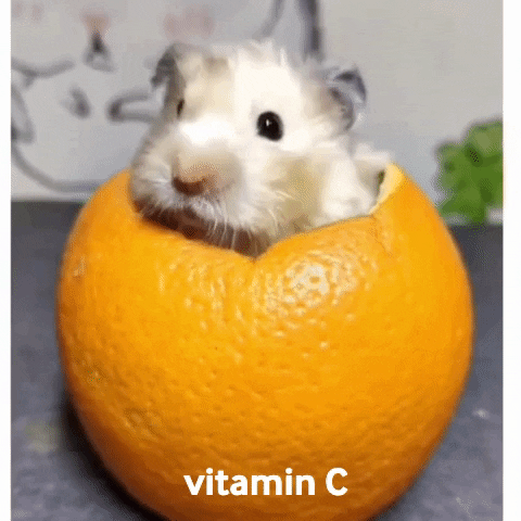 Vitamin C GIF