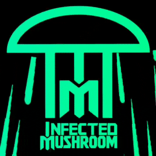 Resultado de imagen de infected mushroom gifs