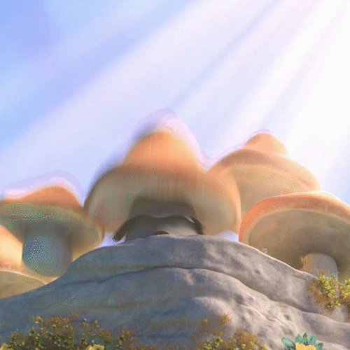 Mushrooms and Vitamin D