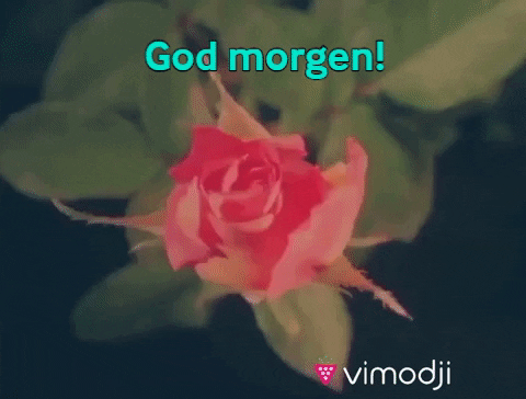 God Morgen GIF by Vimodji
