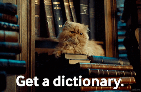 Cat Dictionary GIF by swerk - Find & Share on GIPHY