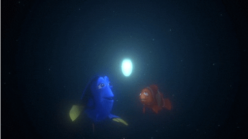 finding nemo fish with light