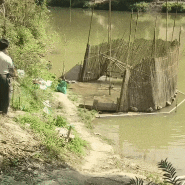 Fish trap in wow gifs