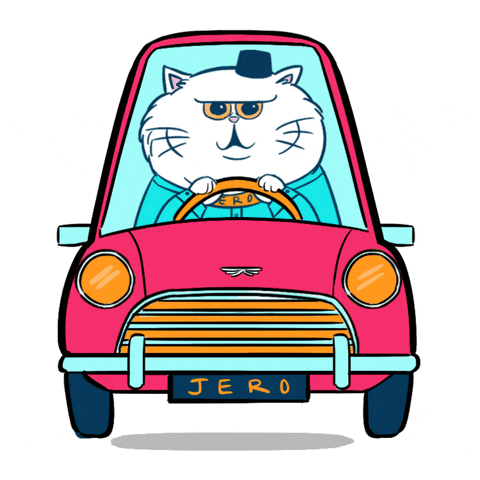 Cat Driving GIFs - Find & Share on GIPHY