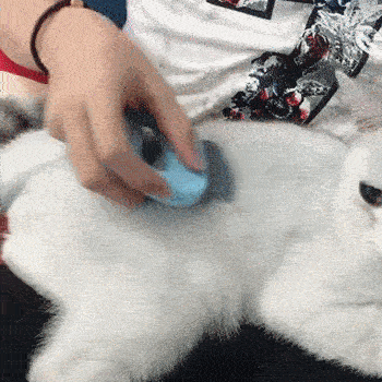 CAPURR™: Pet Massage Grooming Comb - Great Life Gadgets