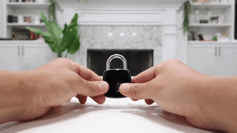 Finger print USB padlock