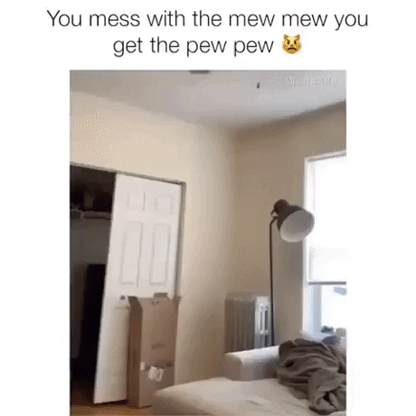 When you mess with mew you get pew in funny gifs