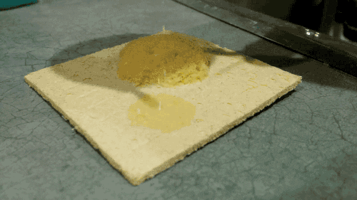 moving pics of sponge