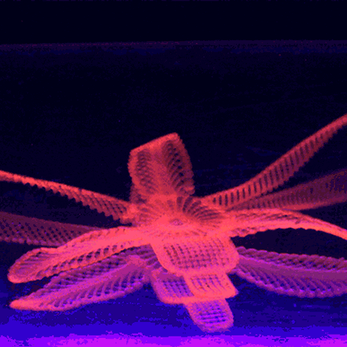 3D Printing GIF Find & Share on GIPHY