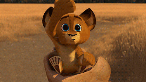 Madagascar GIFs - Find & Share on GIPHY
