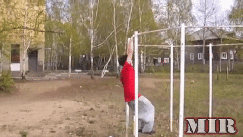 giphy.gif
