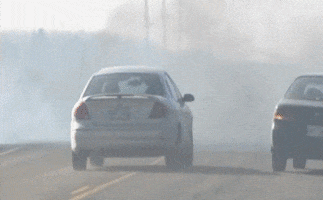 Car Driving GIF - Find & Share on GIPHY