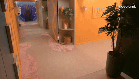 giphy.gif