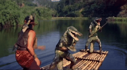 https://media.giphy.com/media/K1GwVm6IeiXEk/giphy.gif