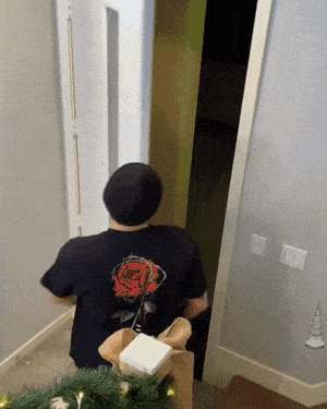 Spider and hooman in funny gifs