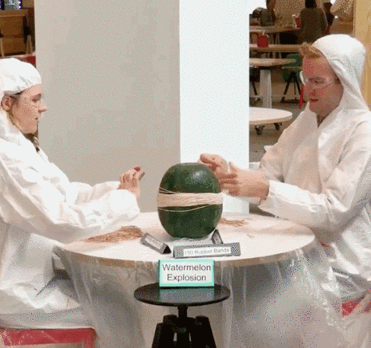 Dummies GIF Find & Share on GIPHY