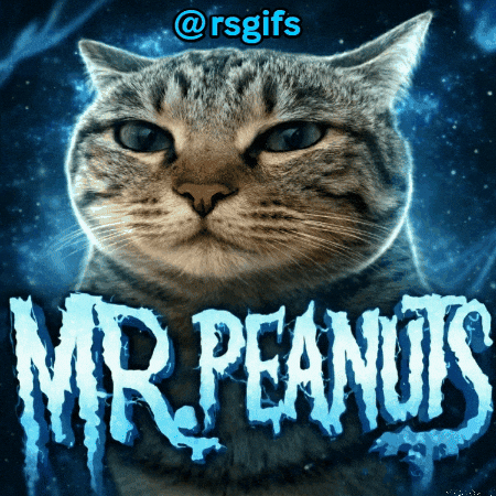 Mr. Peanuts