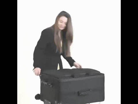 Luggage Shelves GIF - Find & Share on GIPHY