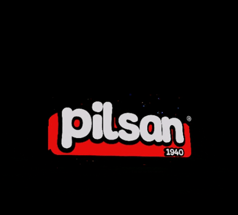Pilsan Toys GIF