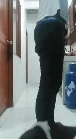 giphy.gif