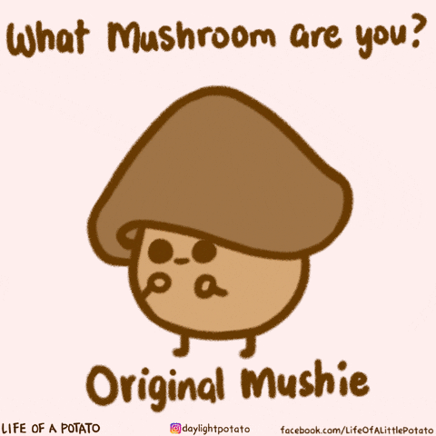 What kind of mushroom are you?