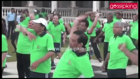 giphy.gif