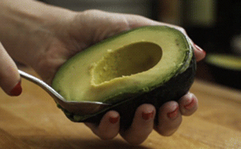 Avocado GIF - Find & Share on GIPHY