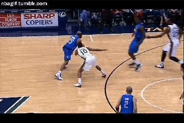 giphy.gif