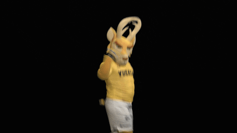 GIF by Venados FC