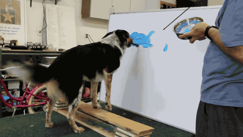 Dog with brush in mouth painting on canvas